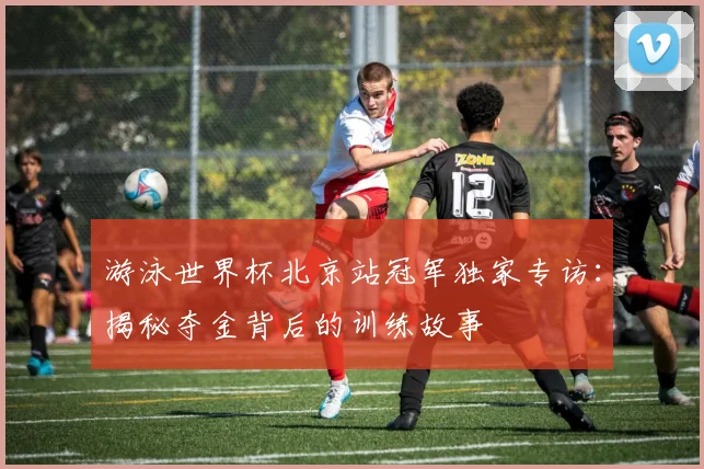 游泳世界杯北京站冠军独家专访：揭秘夺金背后的训练故事